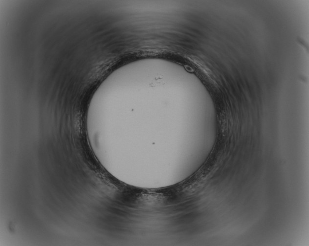 X0000091700455200709210925