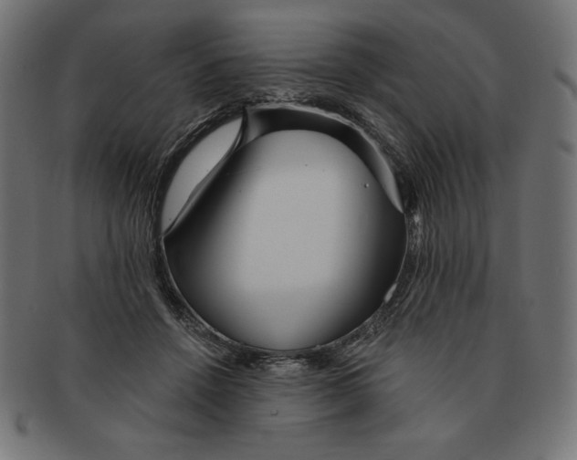 X0000091700456200709210925