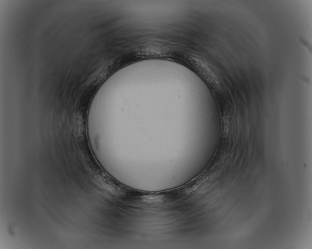 X0000091700457200709210925