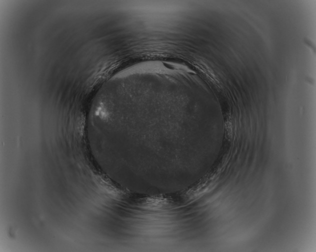 X0000091700458200709210925