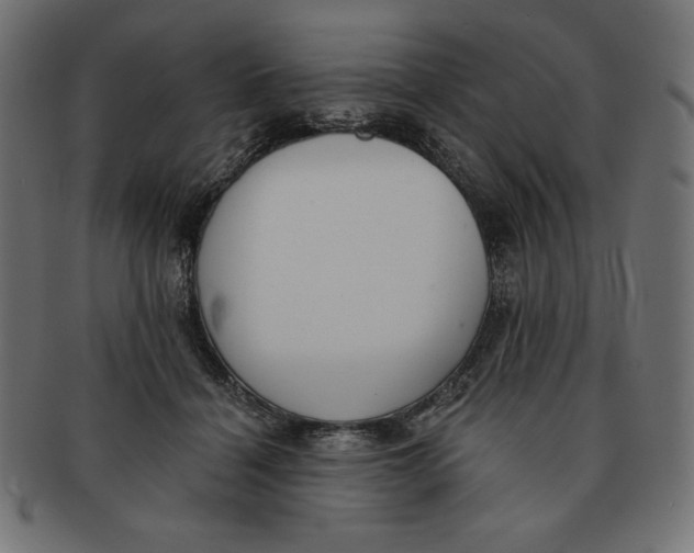 X0000091700460200709210925