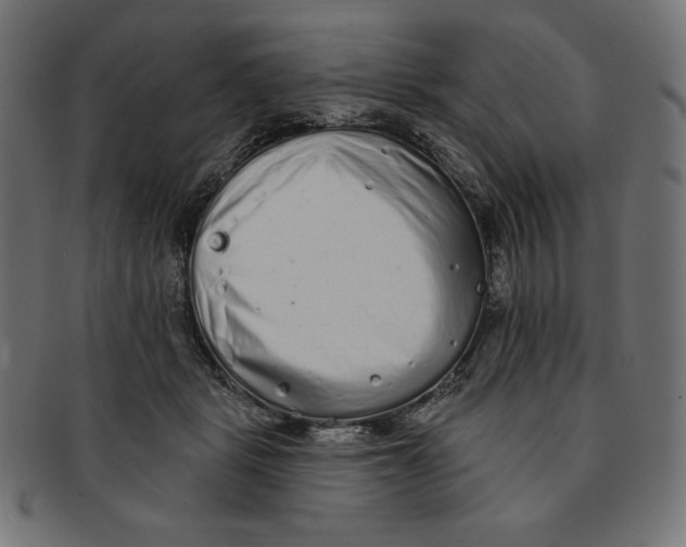 X0000091700461200709210925