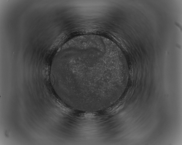 X0000091700462200709210925