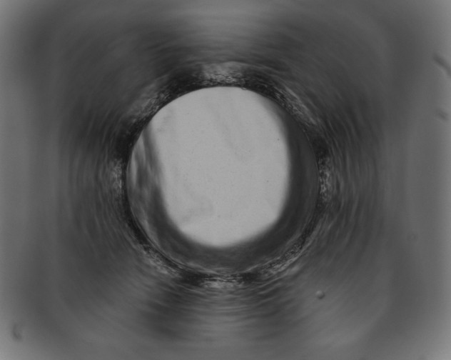 X0000091700466200709210926