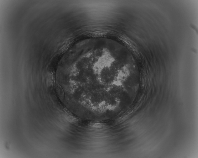 X0000091700467200709210926