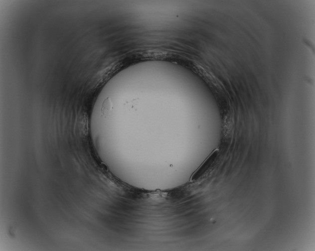 X0000091700474200709210926