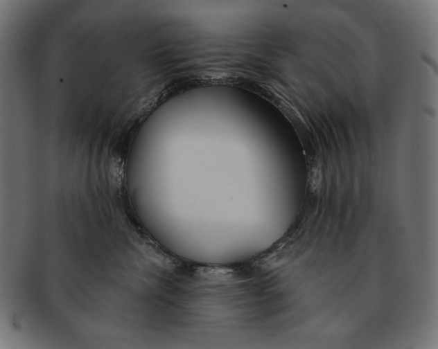 X0000091700476200709210926