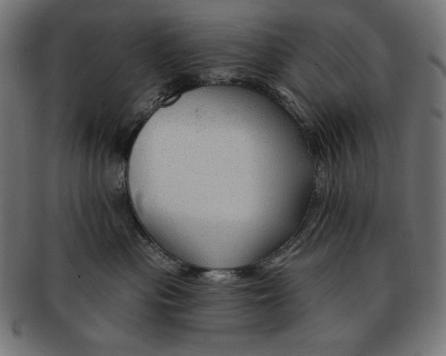 X0000091700477200709210926