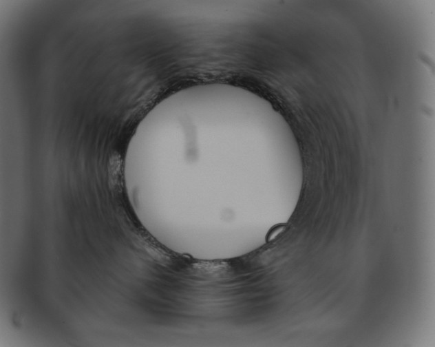 X0000091700480200709210926