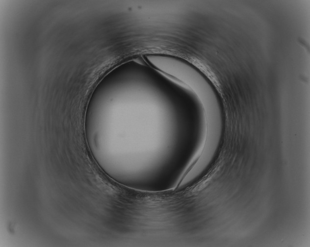 X0000091700481200709210925