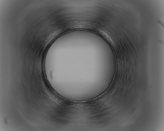 X0000091700482200709210925