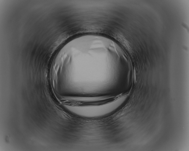 X0000091700483200709210925