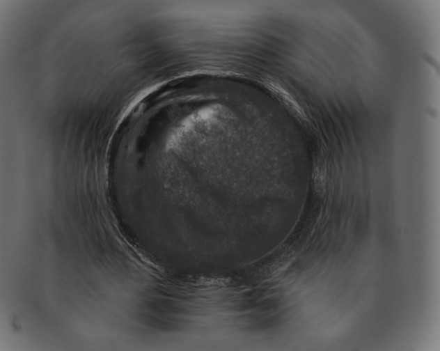 X0000091700484200709210925