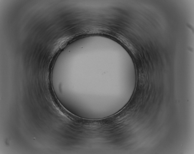 X0000091700485200709210925