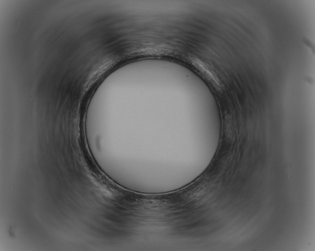 X0000091700486200709210925