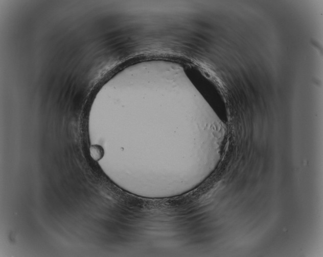 X0000091700487200709210925