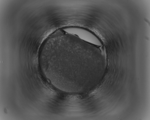 X0000091700488200709210925