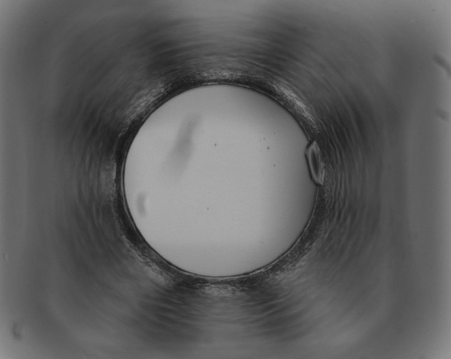 X0000091700490200709210925