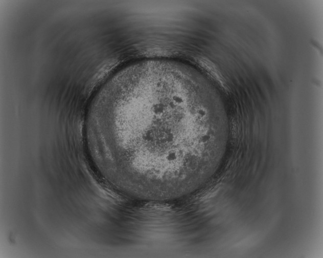 X0000091700491200709210925