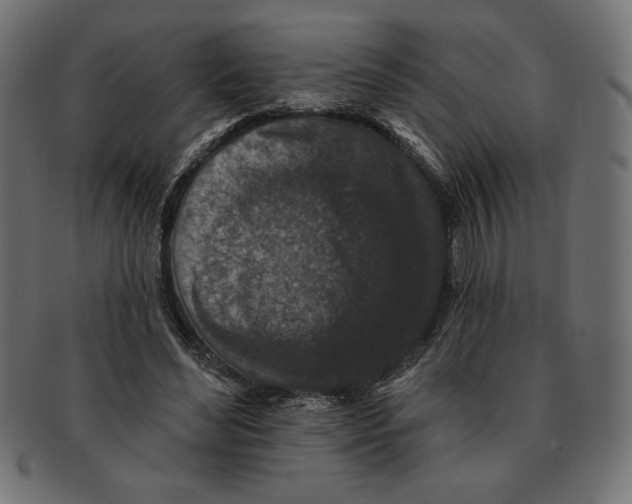 X0000091700492200709210925