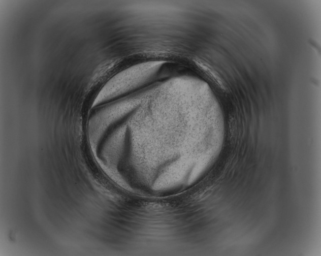 X0000091700494200709210925