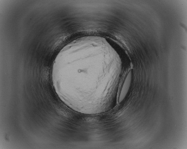 X0000091700495200709210925