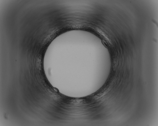 X0000091700497200709210925