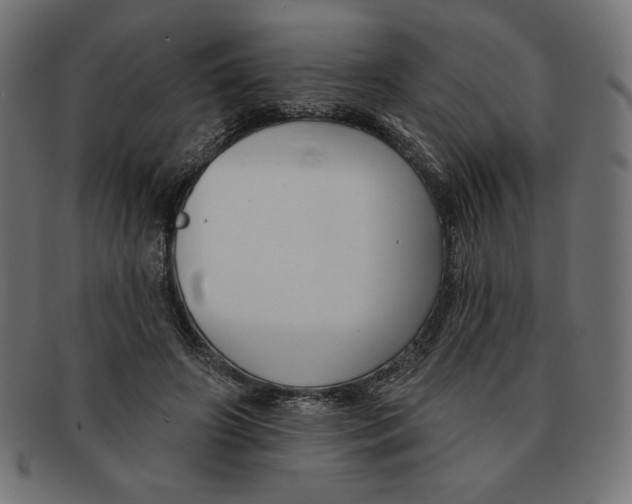 X0000091700498200709210925