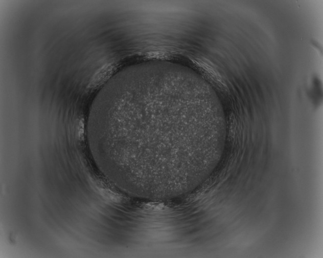 X0000091700502200709210925