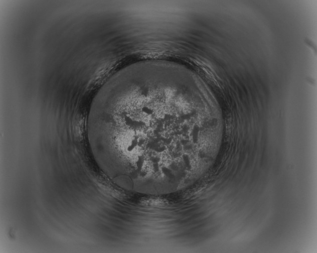 X0000091700503200709210925