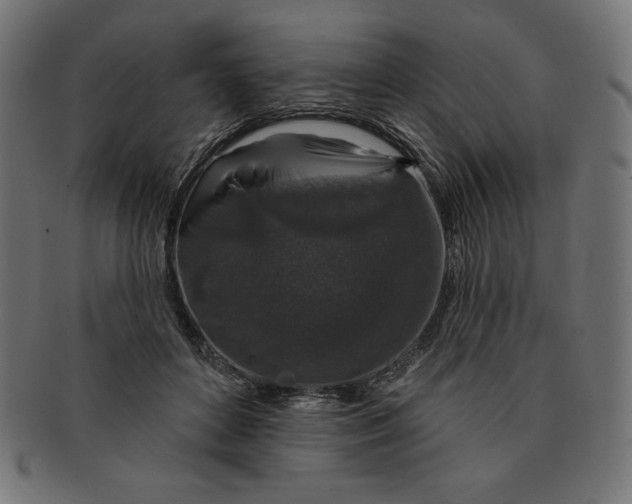 X0000091700504200709210925