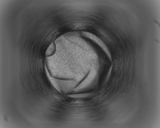 X0000091700506200709210925