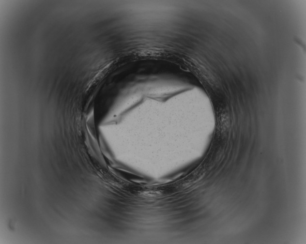 X0000091700508200709210925