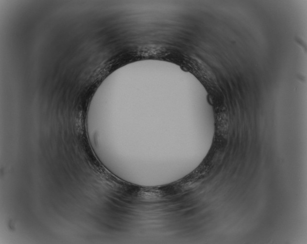 X0000091700510200709210925