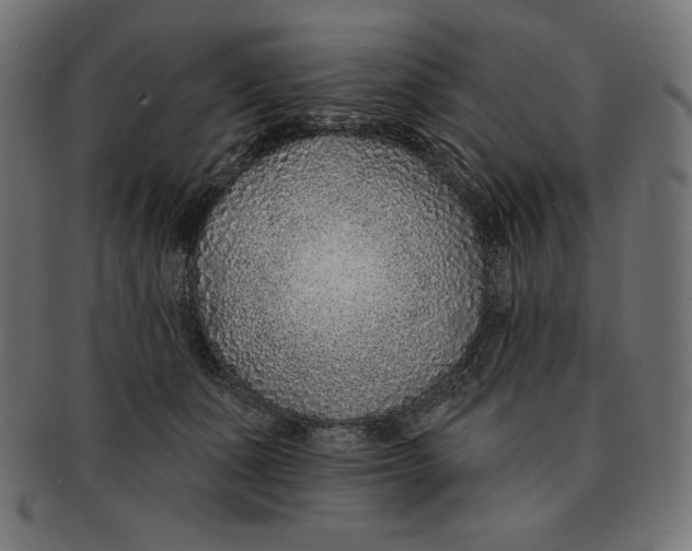 X0000091700511200709210925