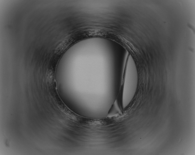 X0000091700513200709210925