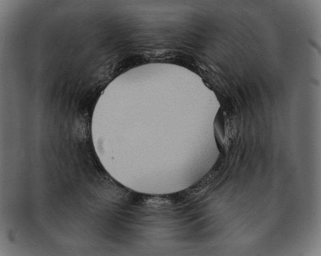 X0000091700515200709210925