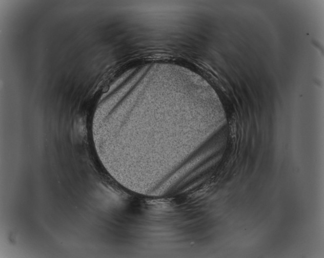 X0000091700516200709210925