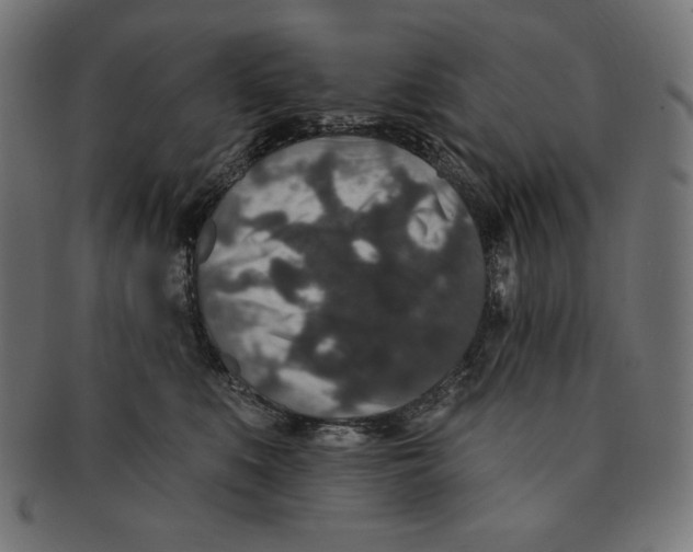 X0000091700519200709210925