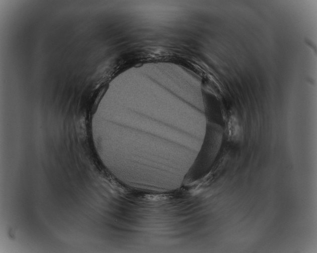 X0000091700520200709210925