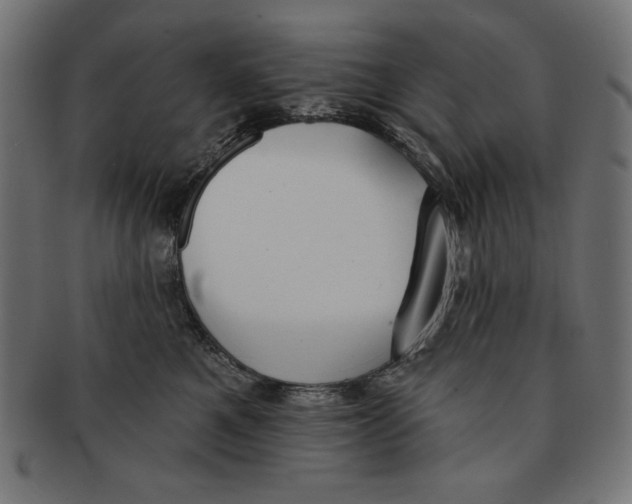 X0000091700521200709210925