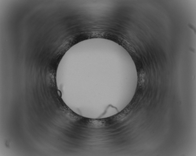 X0000091700522200709210925