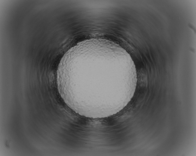 X0000091700523200709210925