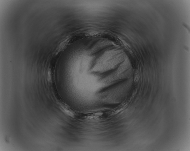 X0000091700524200709210925