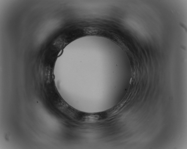 X0000091700525200709210925