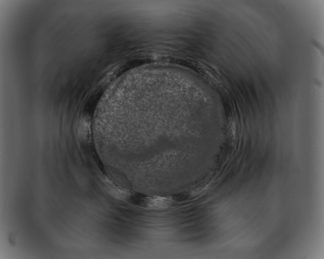 X0000091700527200709210925