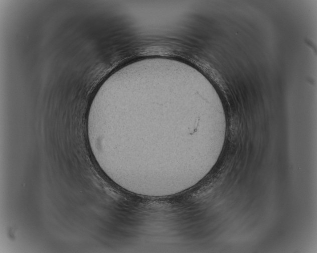 X0000091700529200709210924