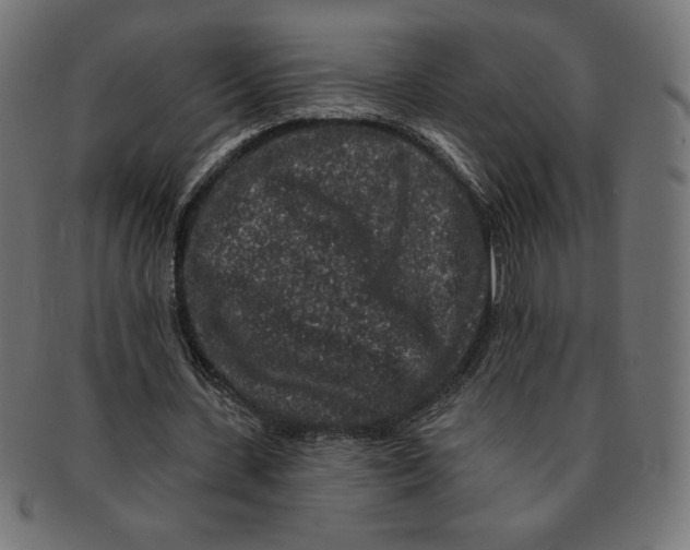 X0000091700531200709210924