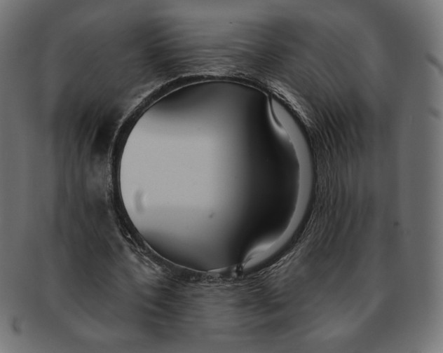 X0000091700532200709210924