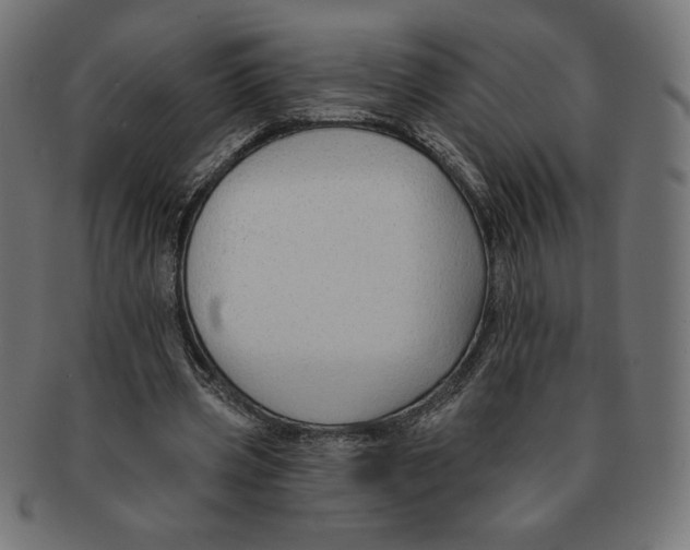 X0000091700533200709210924